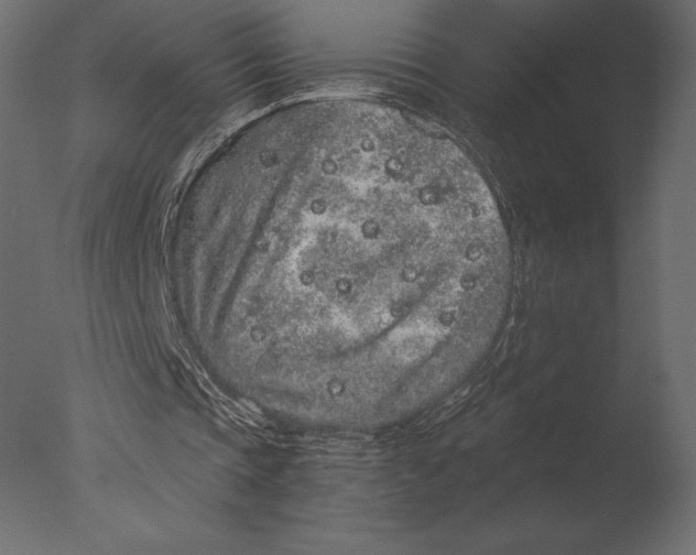 X0000076350337200610201806