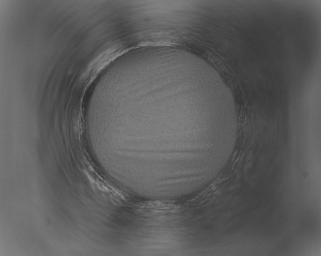 X0000076350338200610201806