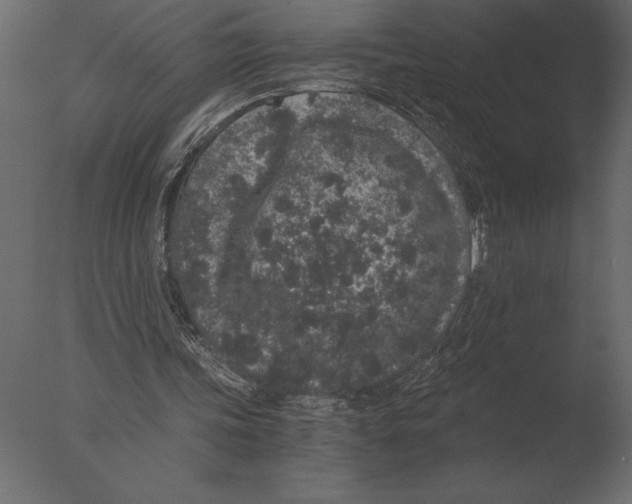 X0000076350339200610201806