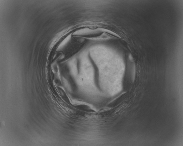 X0000076350340200610201806