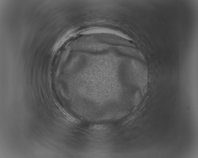 X0000076350341200610201806