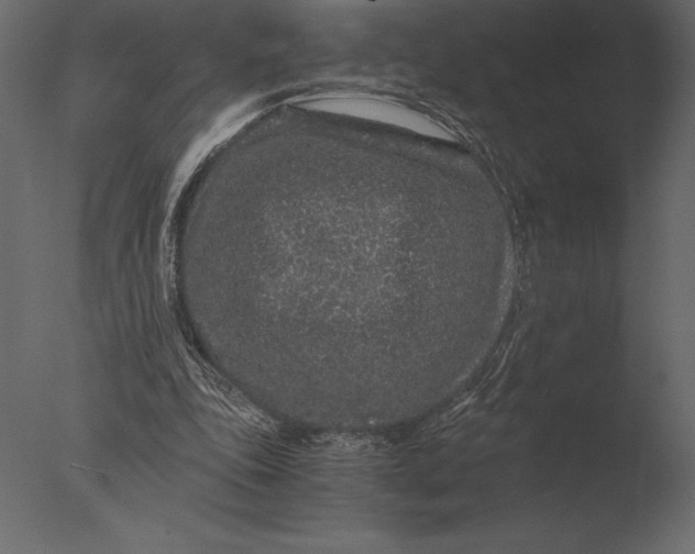 X0000076350343200610201806