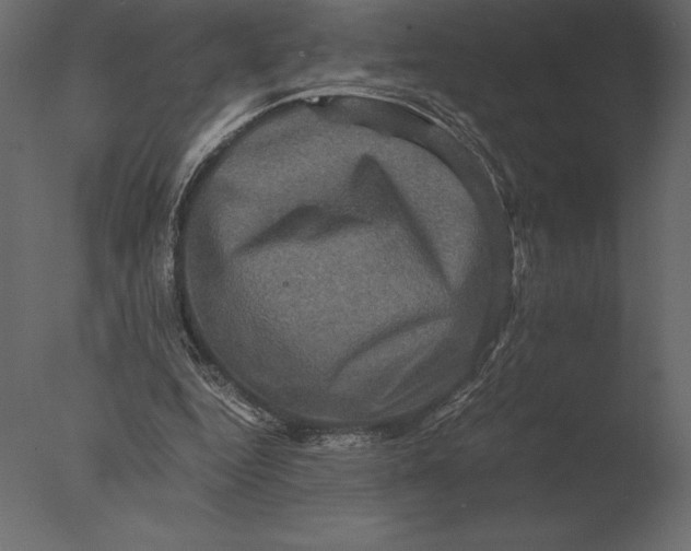 X0000076350344200610201806