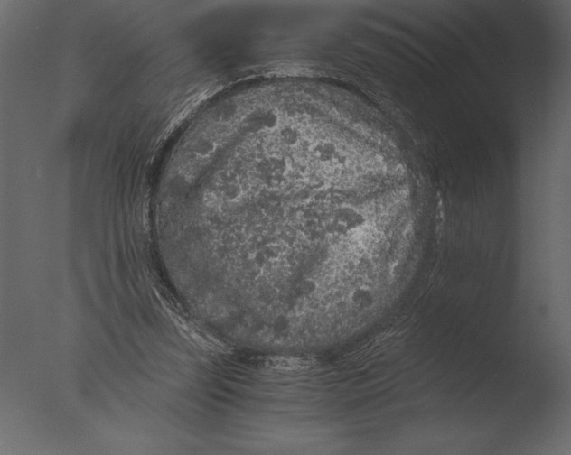 X0000076350347200610201806