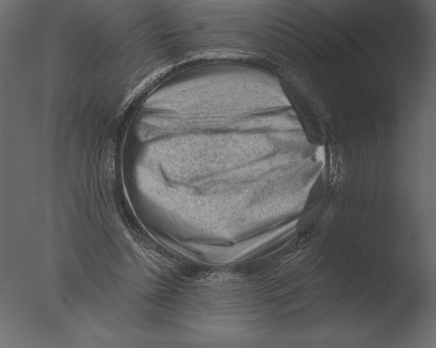 X0000076350348200610201806