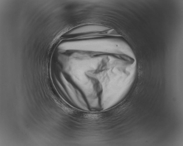 X0000076350349200610201806