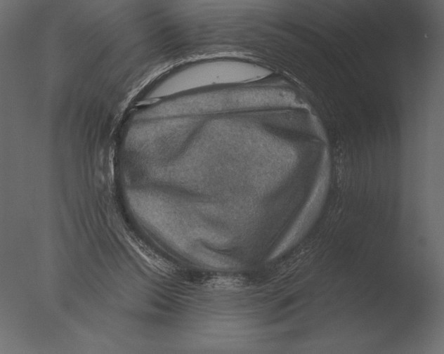 X0000076350350200610201806