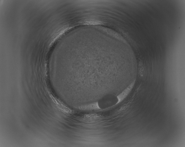 X0000076350351200610201806