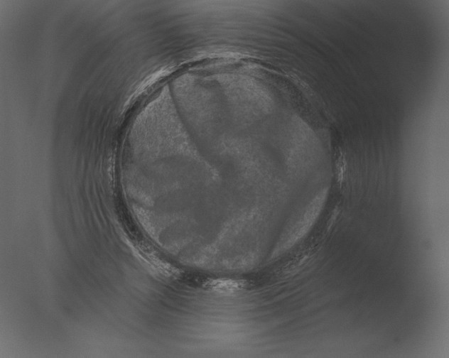 X0000076350352200610201806