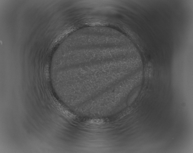 X0000076350353200610201806