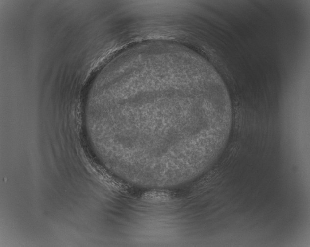 X0000076350354200610201806