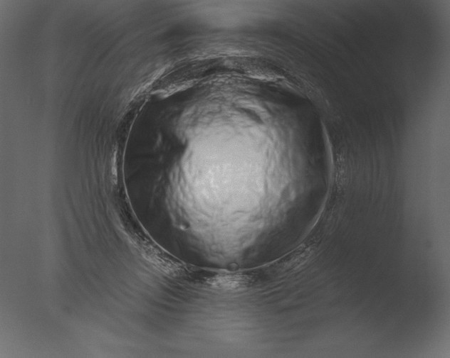 X0000076350358200610201806