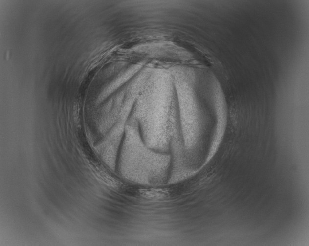 X0000076350359200610201806