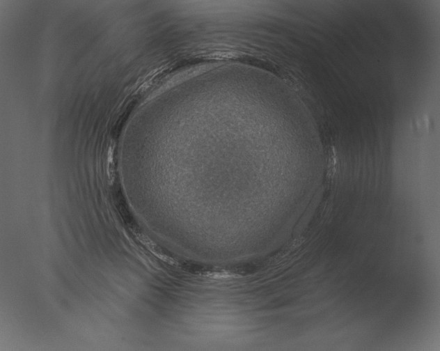 X0000076350360200610201806