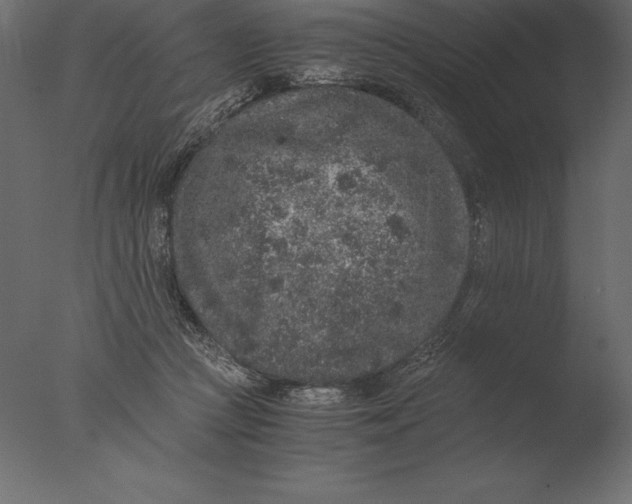 X0000076350361200610201806