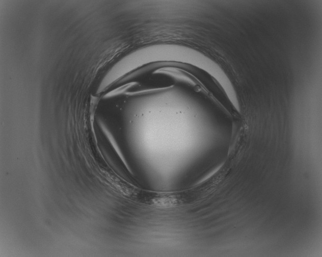 X0000076350362200610201806