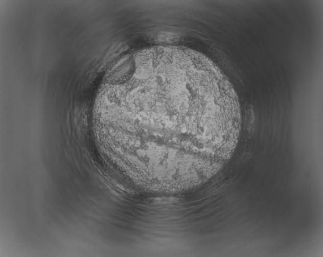 X0000076350363200610201806