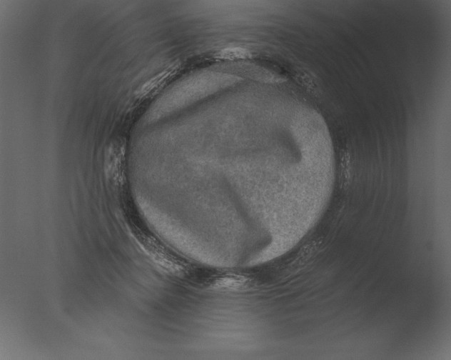 X0000076350364200610201806