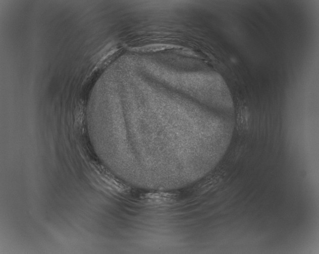 X0000076350367200610201806