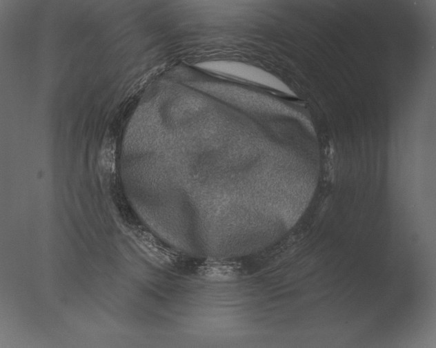 X0000076350368200610201806