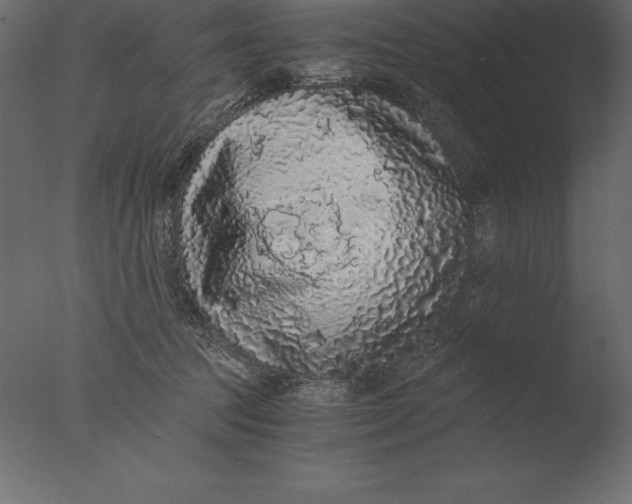 X0000076350369200610201806