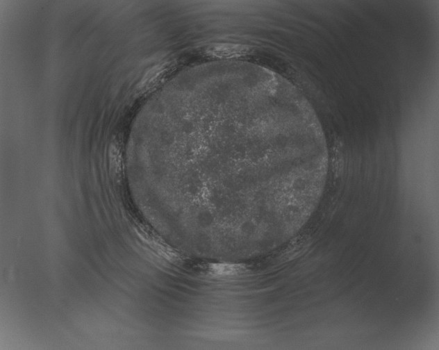 X0000076350371200610201806