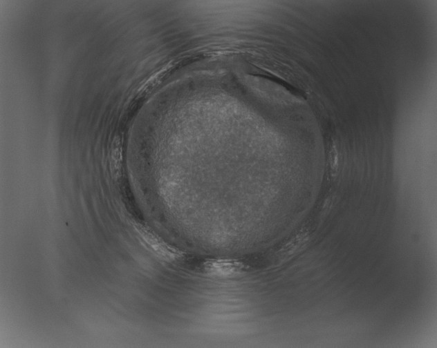 X0000076350372200610201806