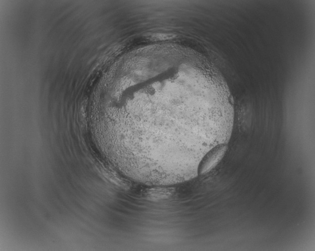 X0000076350373200610201806