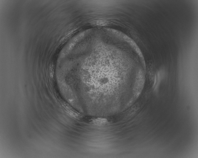 X0000076350374200610201806