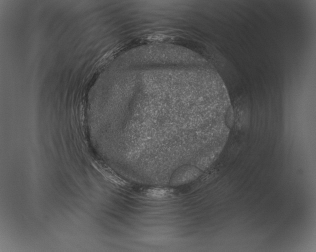 X0000076350375200610201806