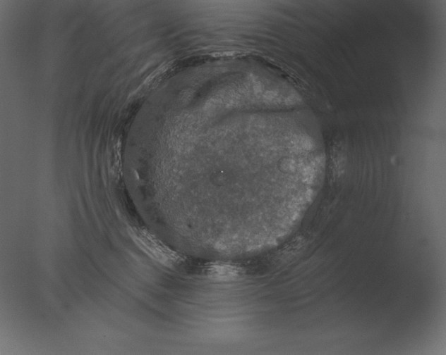 X0000076350376200610201806