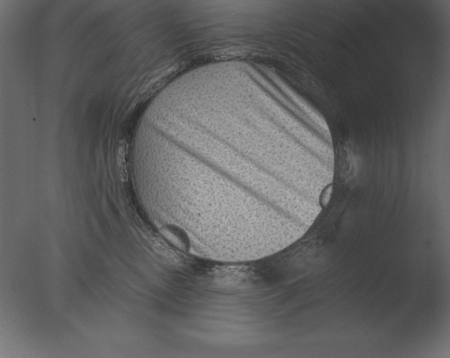 X0000076350378200610201806