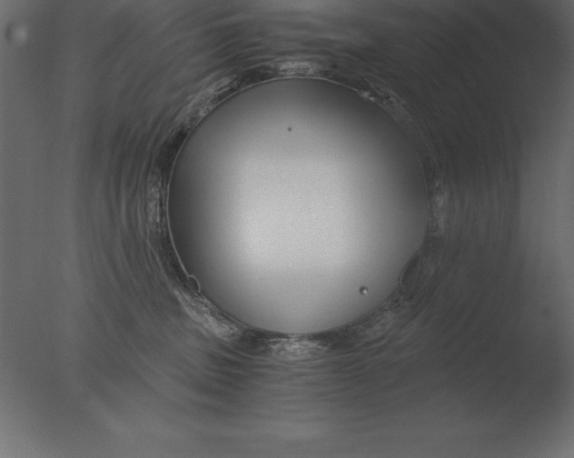 X0000076350379200610201806