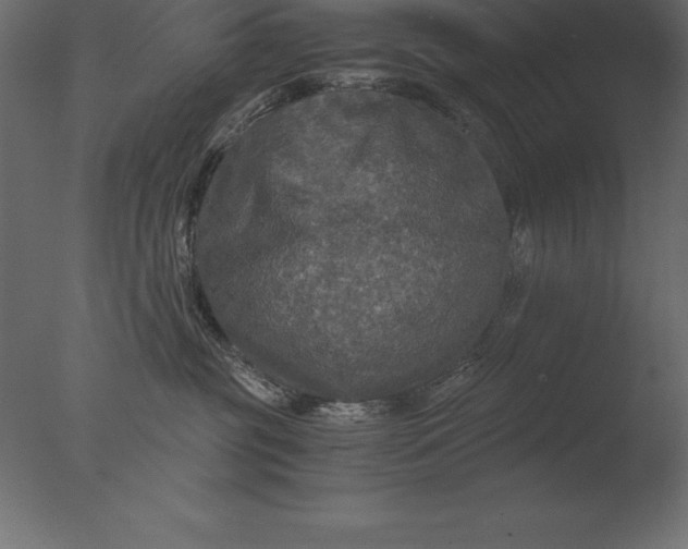 X0000076350381200610201806