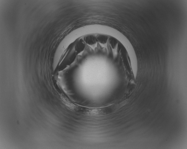 X0000076350382200610201806