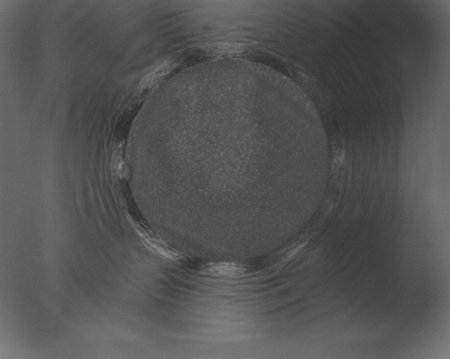 X0000076350383200610201807