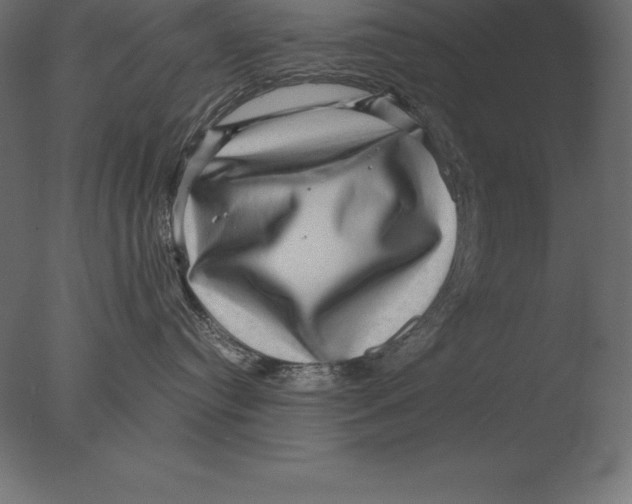 X0000076350384200610201807