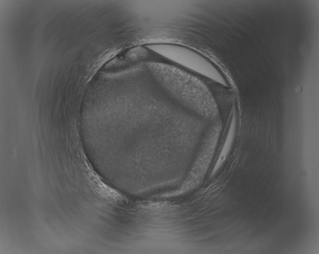 X0000076350385200610201806