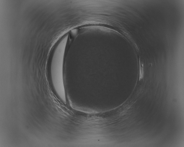 X0000076350387200610201806