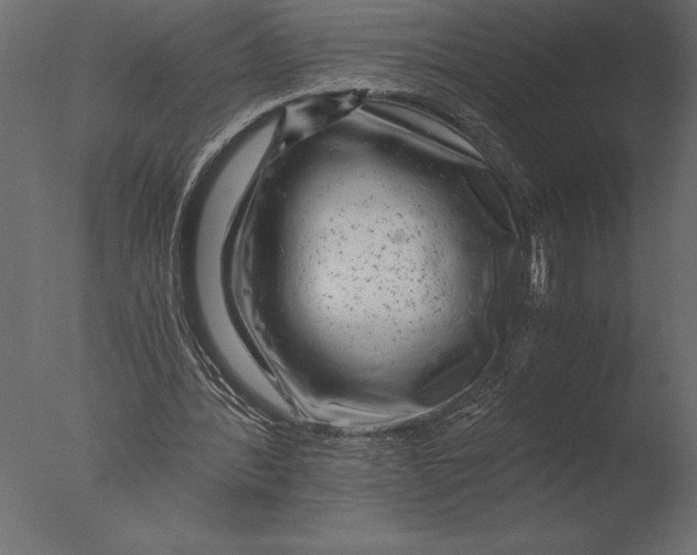 X0000076350388200610201806