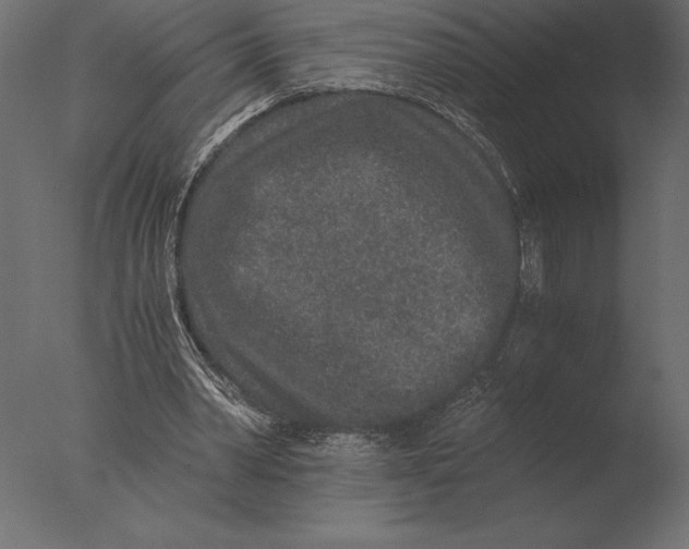 X0000076350390200610201806