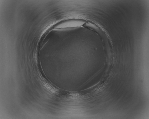 X0000076350391200610201806