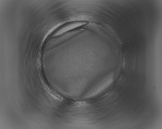 X0000076350392200610201806