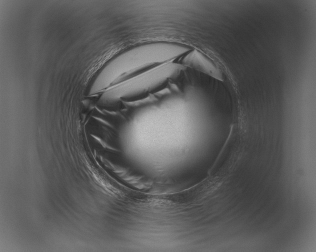 X0000076350393200610201806