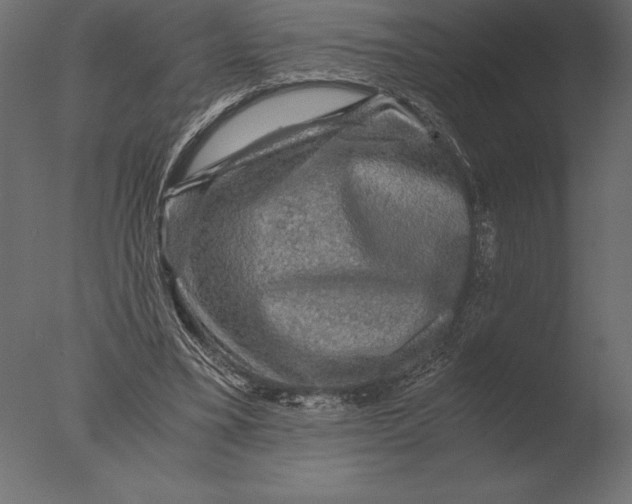 X0000076350395200610201806