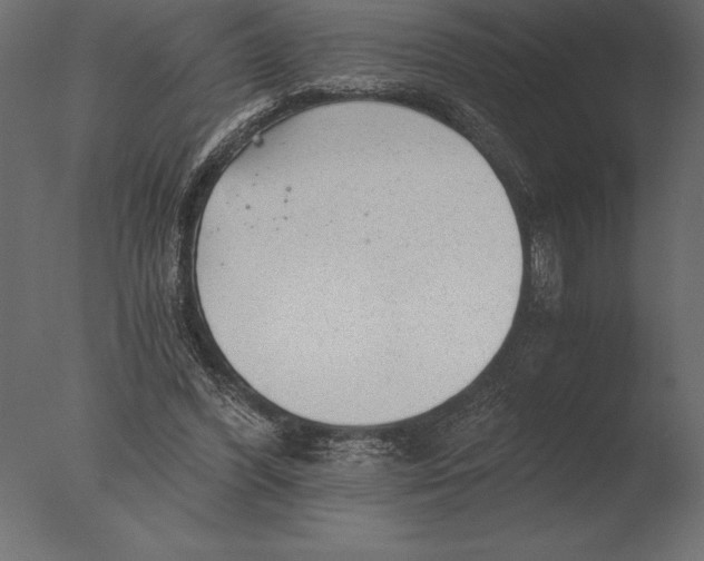 X0000076350396200610201806