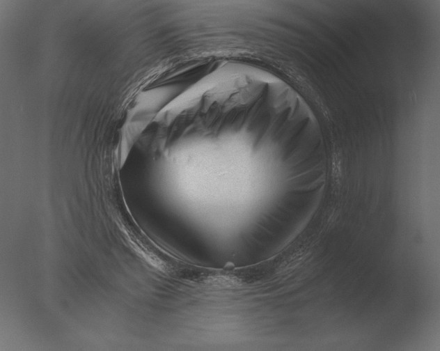 X0000076350397200610201806