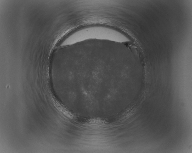 X0000076350399200610201805