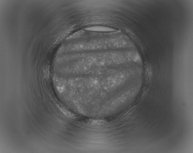 X0000076350401200610201805