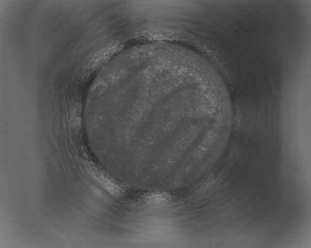 X0000076350402200610201805